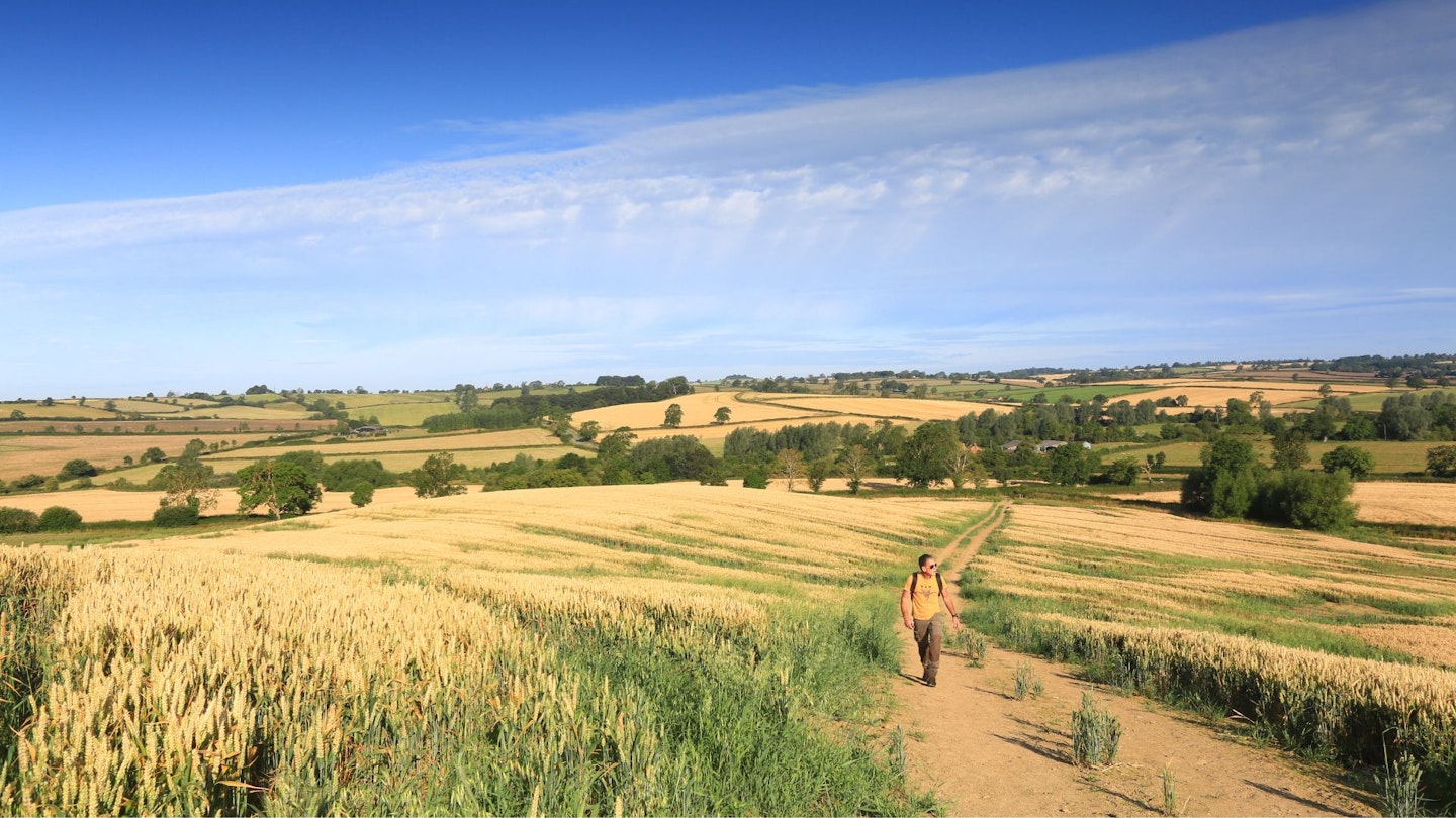 Raptors, reptiles and cowpat frisbee: welcome to the secret life of fields