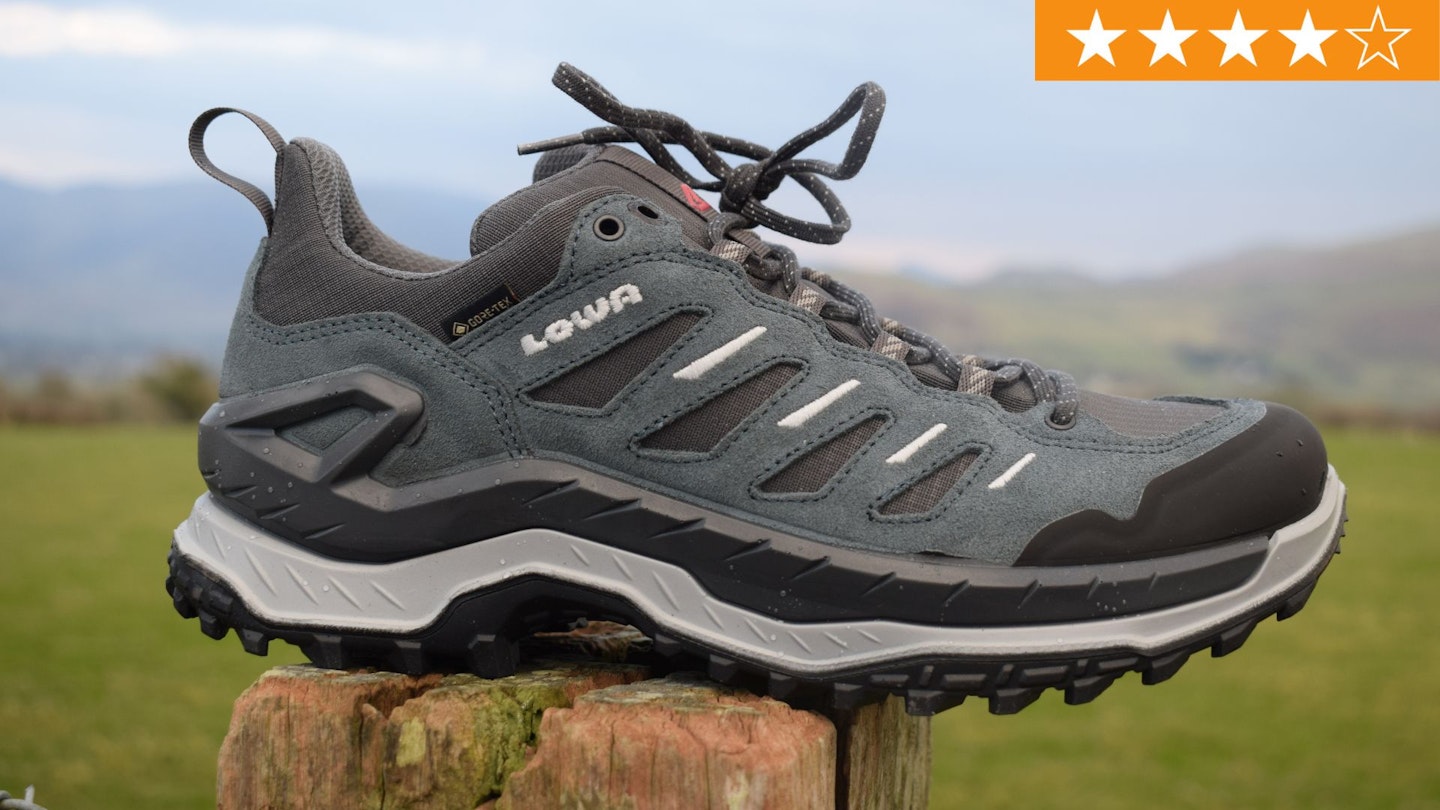 Lowa Innovo GTX Lo walking shoe