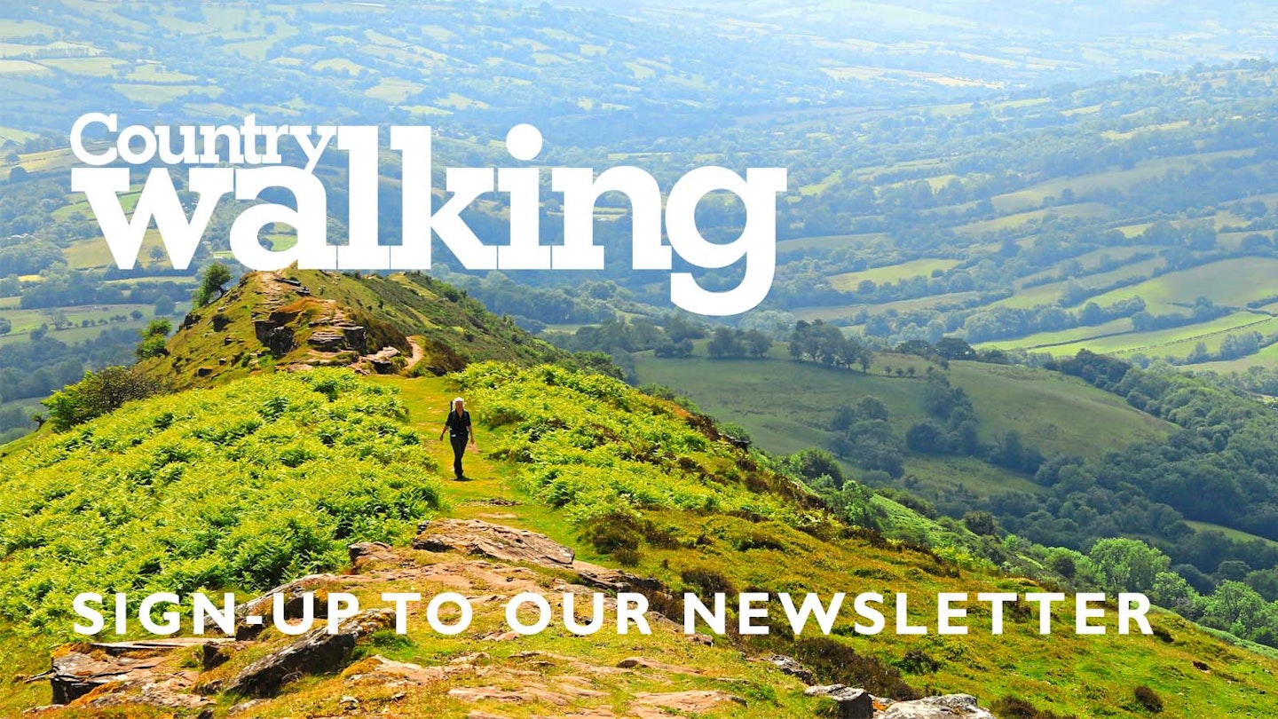 Sign up to our newsletter