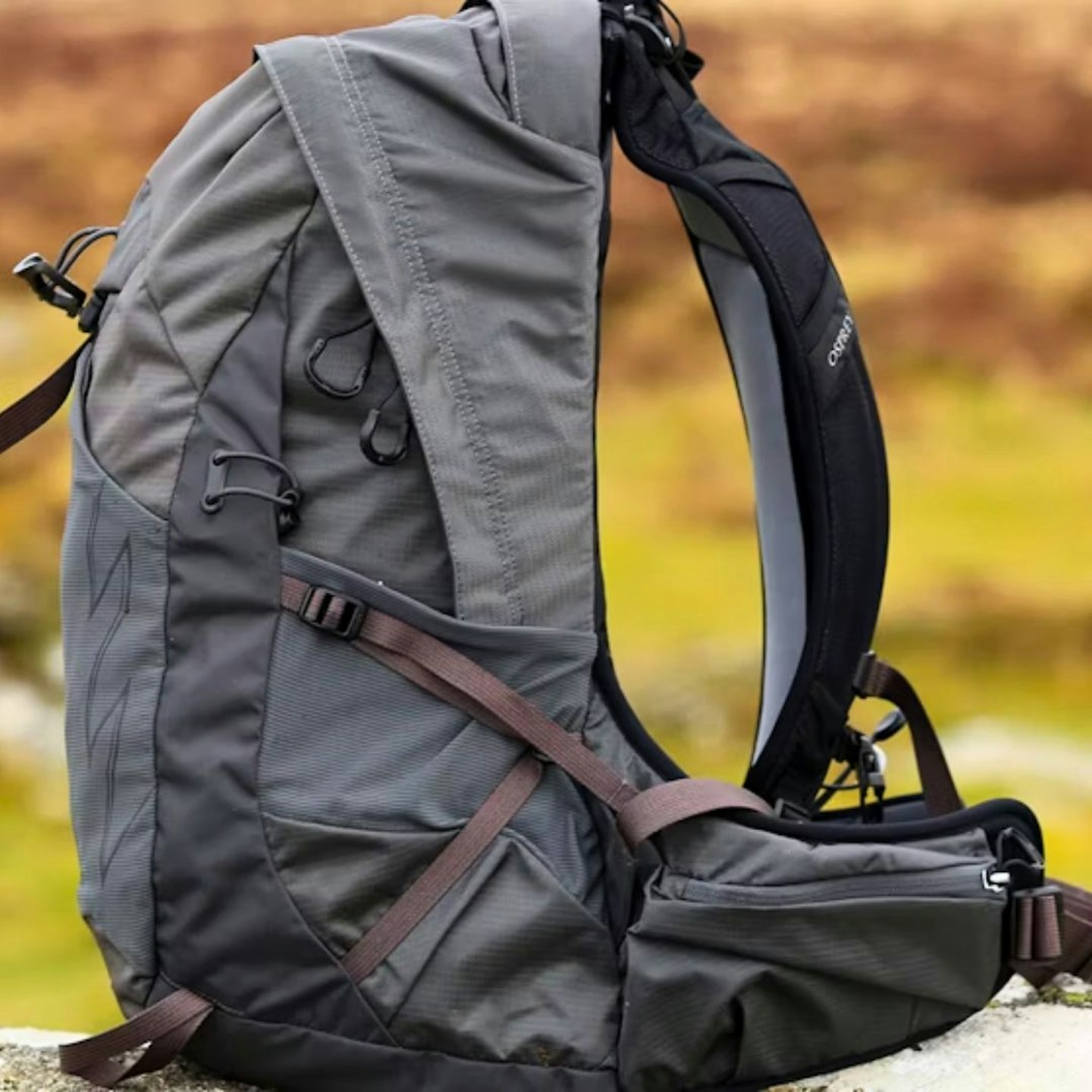 Osprey Talon 22 side profile